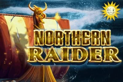 Northern Raider poster