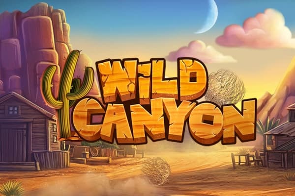 Wild Canyon poster